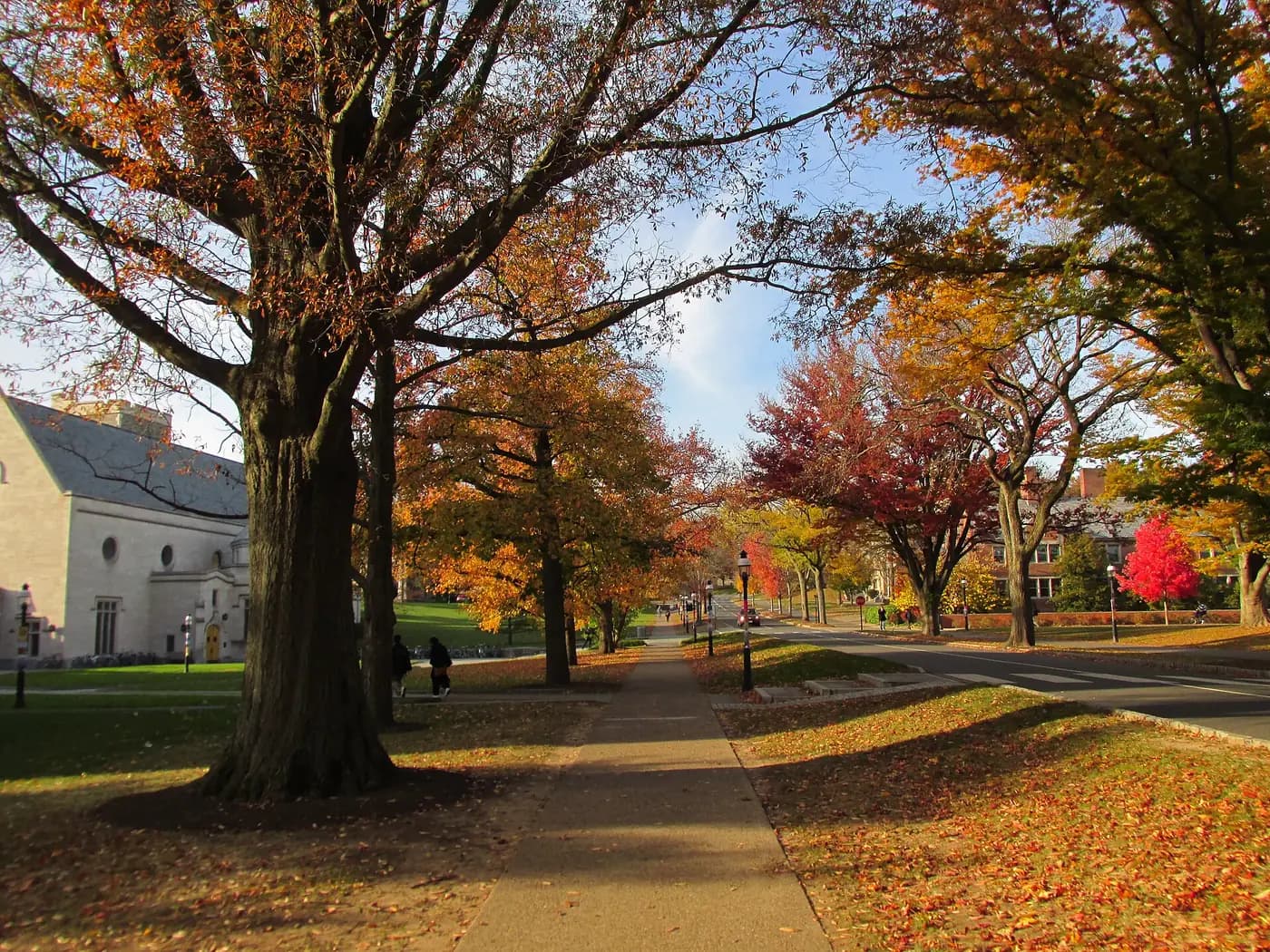 Tree-lined Elm Drive on Princeton University’s campus in autumn